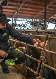 Är du säker? webbutbildning