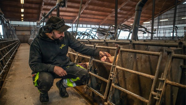 Bild på bakgrund av Är du säker? webbutbildning