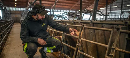 Bild pÃ¥ utbildningen Är du säker? webbutbildning