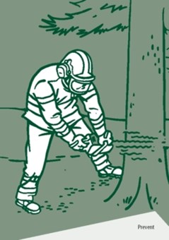 Bild på omslag av Jobba säkert i skogen