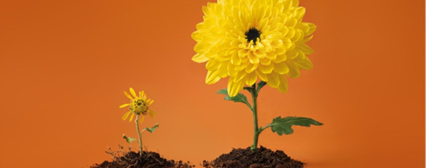 Bild på bakgrund av Arbetsmiljö för chefer – webb