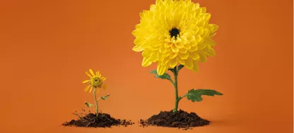 Bild på utbildningen Arbetsmiljö för chefer – webb