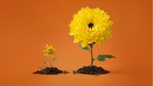 Bild på utbildningen Arbetsmiljö för chefer – webb