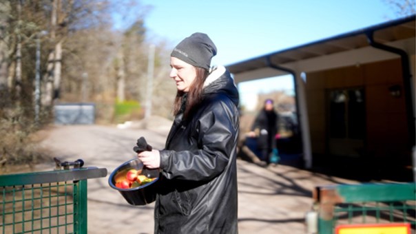 Bild på bakgrund av Arbetsmiljöskolans webbutbildning för förskolan
