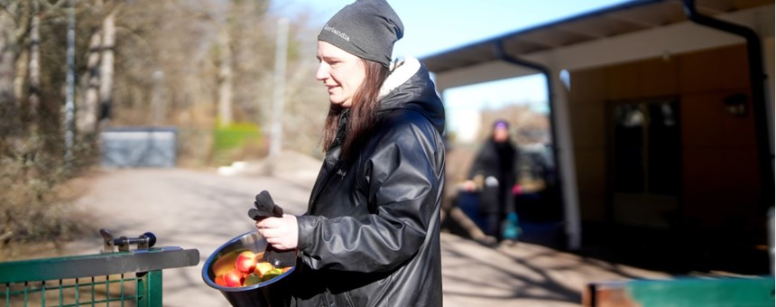 Bild på bakgrund av Arbetsmiljöskolans webbutbildning för förskolan