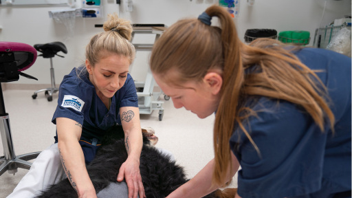 Bild pÃ¥ utbildningen Tryggt jobbat!