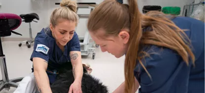 Bild på utbildningen Tryggt jobbat!