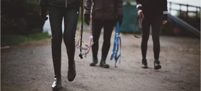 Bild på utbildningen Bli ett Schysst stall