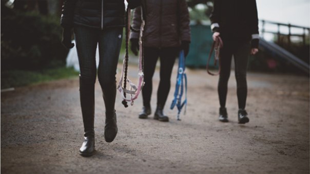 Bild på bakgrund av Bli ett Schysst stall