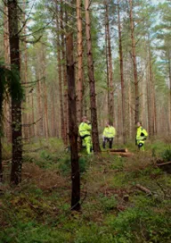 Säkert skogsarbete – webbutbildning