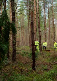 Säkert skogsarbete – webbutbildning