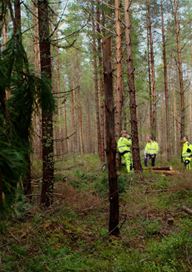 Säkert skogsarbete – webbutbildning
