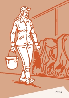 Jobba säkert i lantbruket