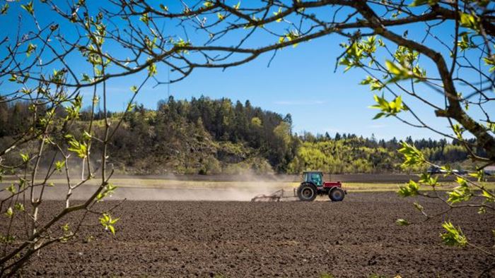 Åker som plöjs