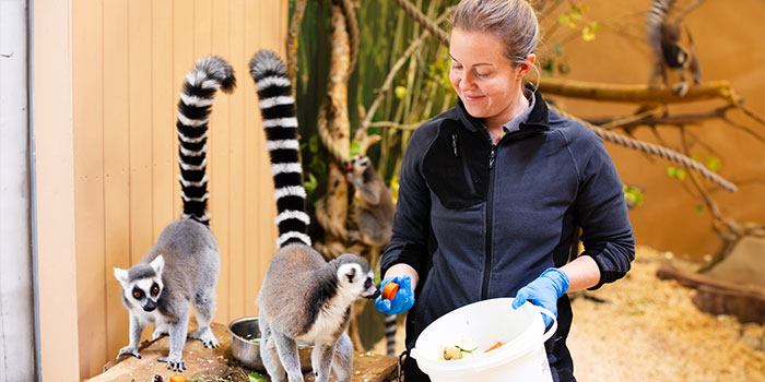 lemur-026A3758_retusch-700x350.jpg