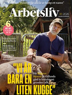Arbetsliv nr 3 2026