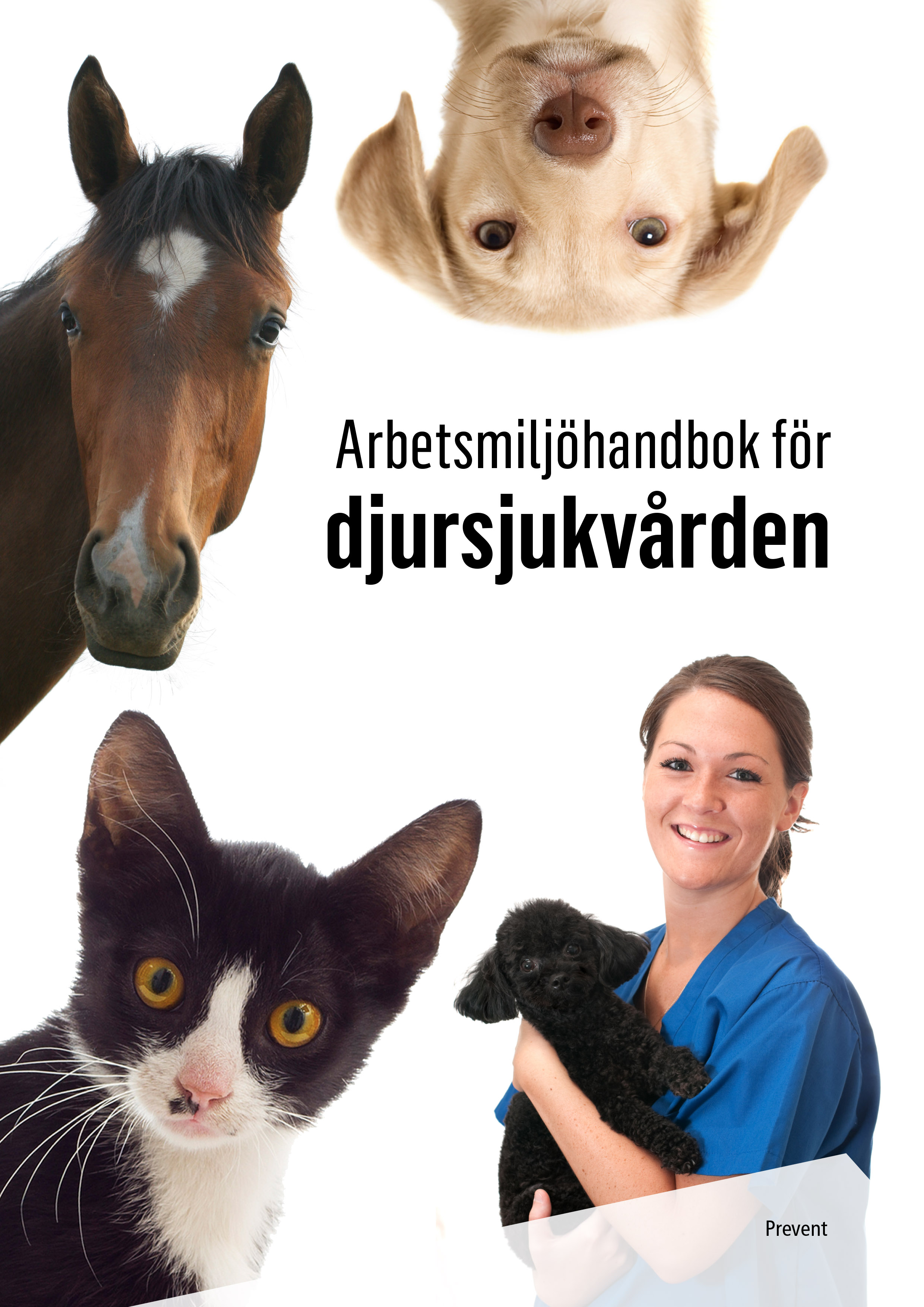 Arbetsmiljöhandbok för djursjukvården