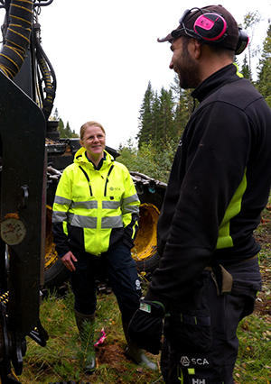 Safe Forestry Work - Romanian